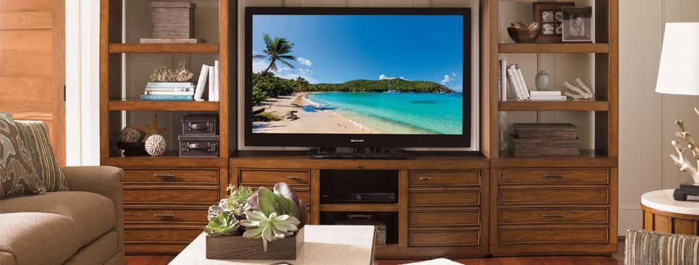 Entertainment banner